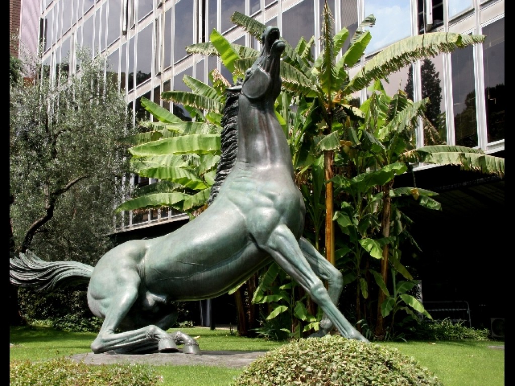 cavallo-rai-1024x768.jpg